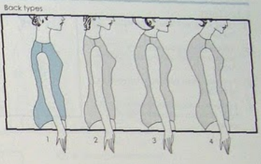 back type